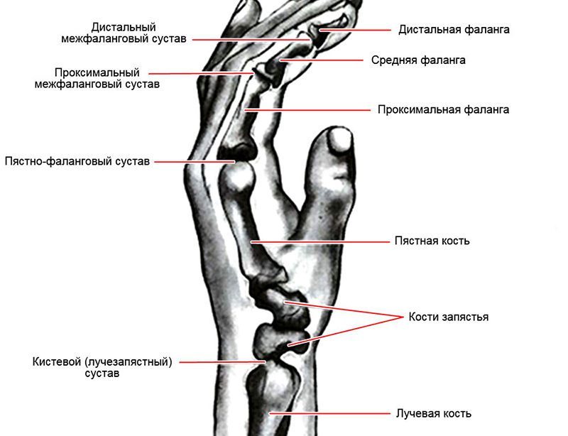 Симптомы