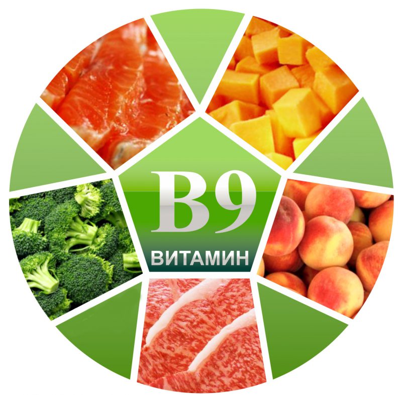 витамин В9