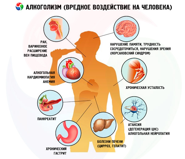 как действует спиртное на организм
