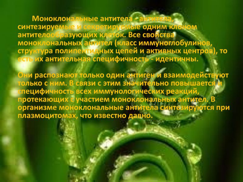Моноклональные антитела
