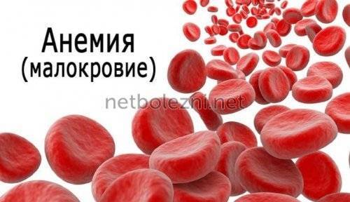 Бефунгин инструкция по применению