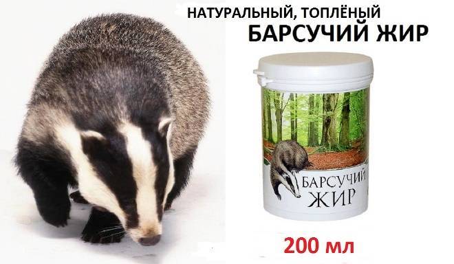Барсукор барсучий жир, 100 мл