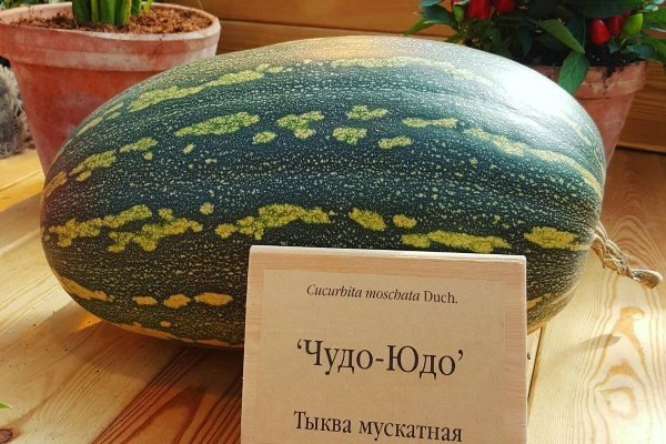 Чудо-Юдо тыква