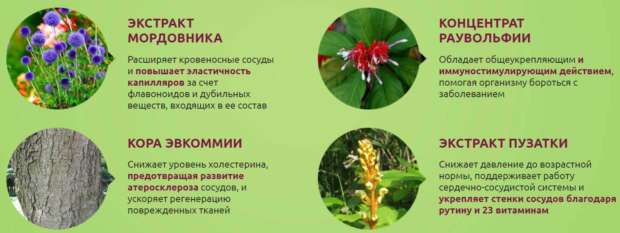 Состав препарата