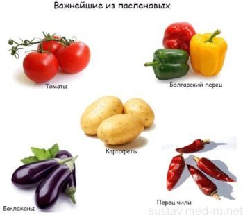 Диета при артрите суставов: что можно есть, а что нельзя, питание при разных видах