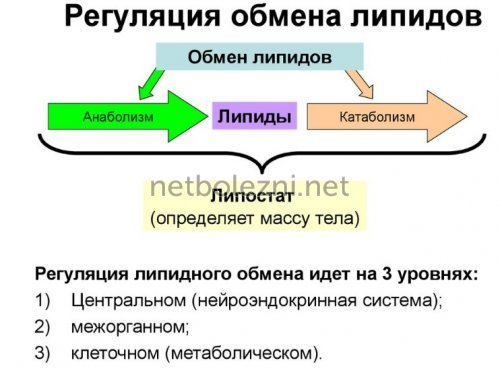 Дексаметазон - инструкция по применению: уколы в ампулах, аналоги и отзывы