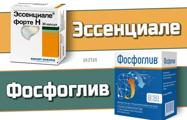 Эссенциале форте или Фосфоглив: что лучше?