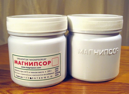 магниспор