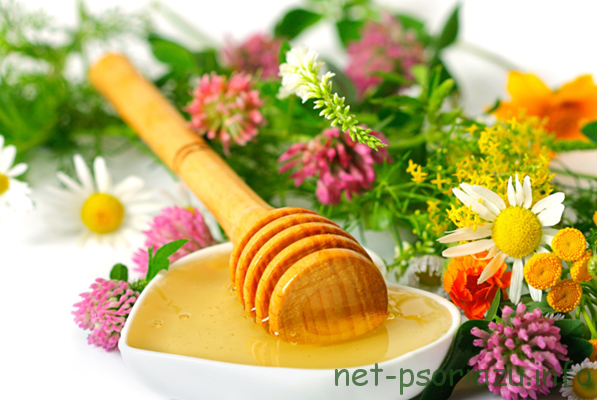 Народное лечение чешуйчатого лишая