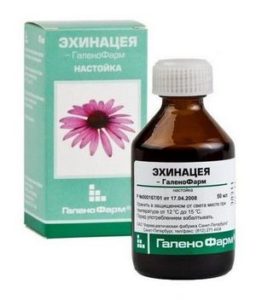 Настойка эхинацеи