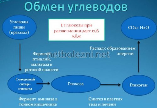 Дексаметазон - инструкция по применению: уколы в ампулах, аналоги и отзывы