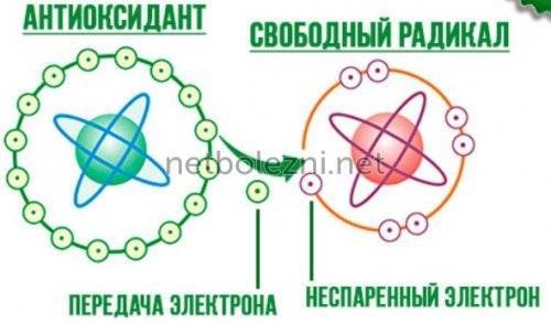Бефунгин инструкция по применению