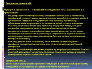 Что по наследству передается от отца