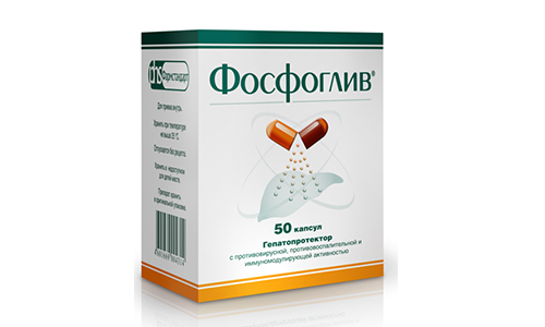 Эссенциале форте или Фосфоглив: что лучше?