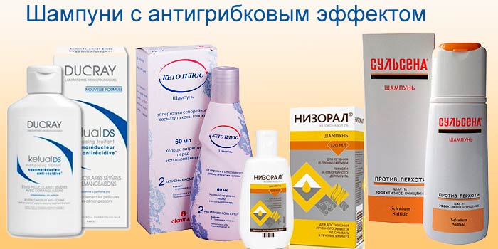 антигрибковый шампунь