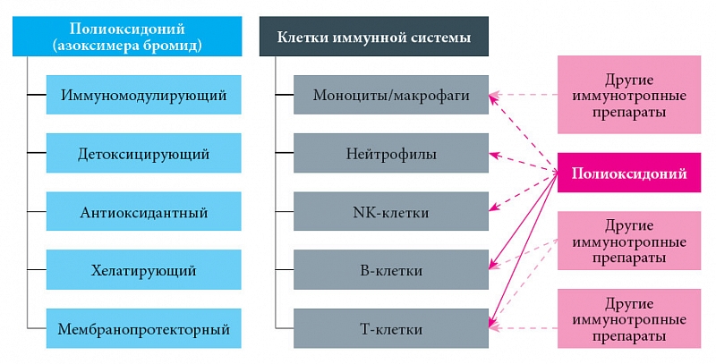 Эффекты иммуномодулятора Полиоксидония