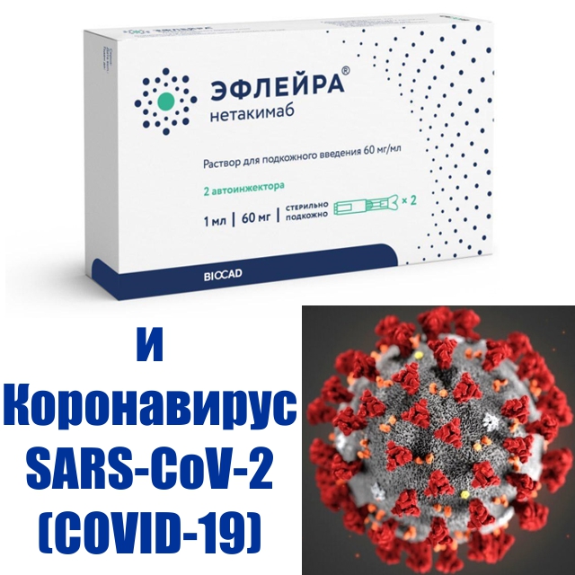 Эфлейра (Нетакимаб) и Коронавирус (COVID-19)
