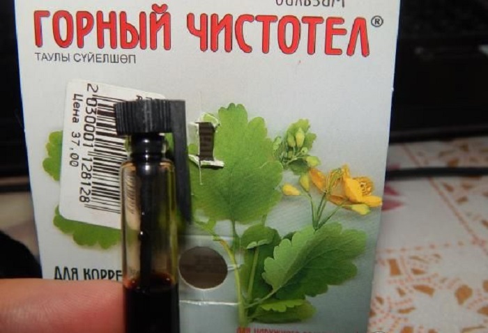Gornyjchistotel2p