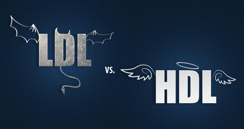 LDL HDL холестерол