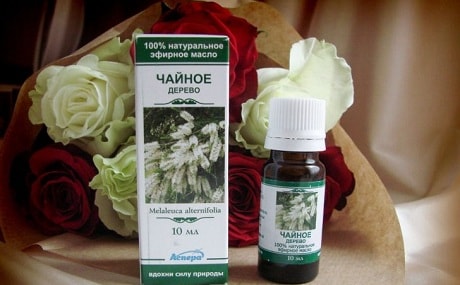Масло чайного дерева купить в аптеке