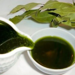 Масло лавра