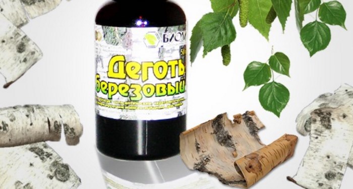применение березового дегтя