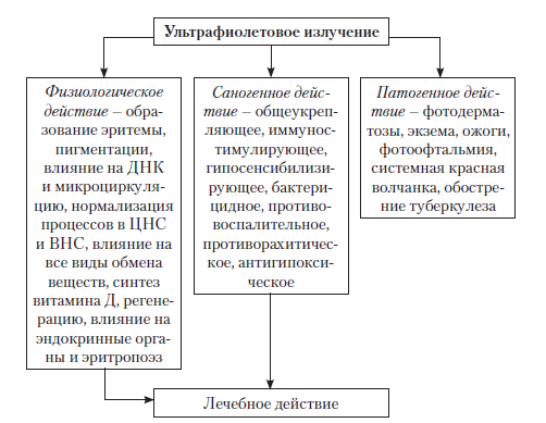 Схема механизма действия ультрафиолетового излучения