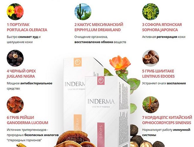 Состав Inderma