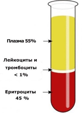 Плазмолифтинг