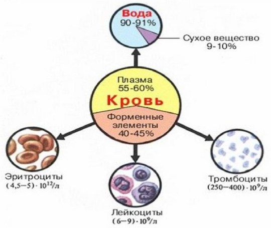 Плазмолифтинг_состав крови