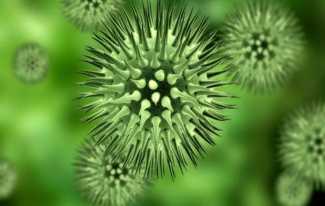 A-подобный (H3N2AKansas142017 (H3N2))