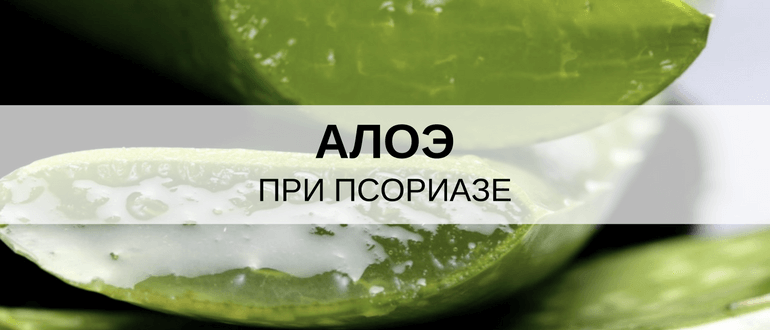 Алоэ уколы при псориазе — Псориаз не для нас!