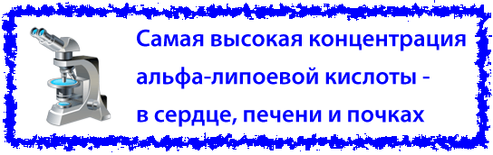 Роль альфа-липоевой кислоты в организме человека