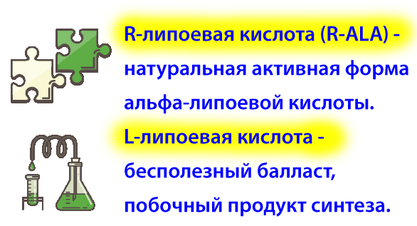 Альфа-липоевая кислота существует в двух молекулярных формах - правая (R) и левая