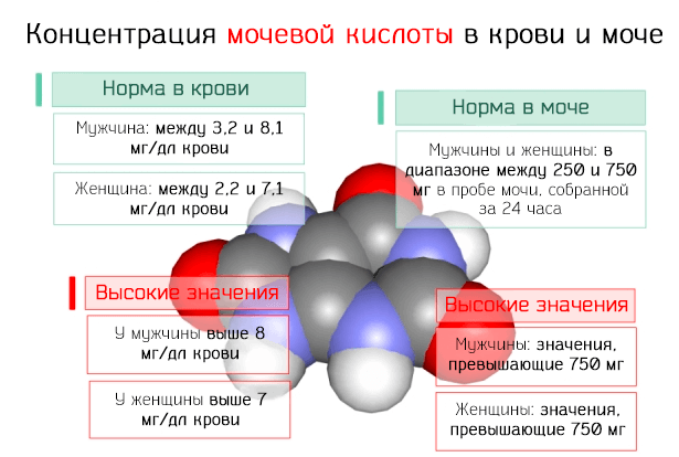 О чем говорят показатели содержания мочевой кислоты в крови?