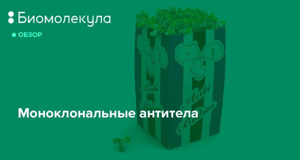 Моноклональные антитела: препараты, цена, применение при псориазе