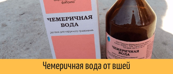 Насколько эффективна чемеричная вода от вшей