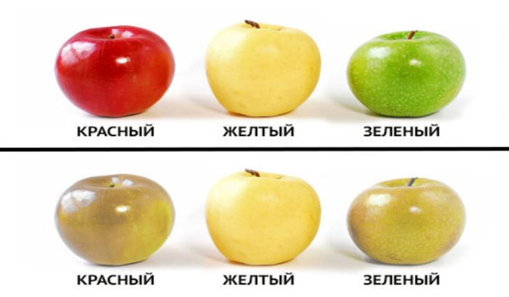 Какие бывают генетические заболевания