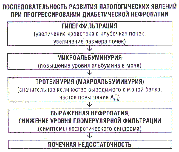 Стадии диабетической нефропатии