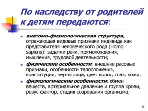 Что по наследству передается от отца