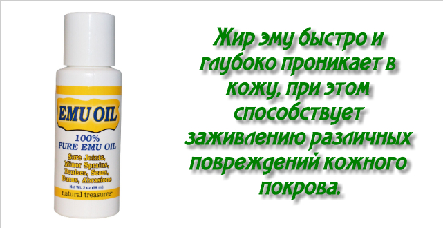 страусиный жир для кожи