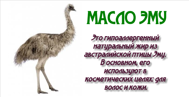 страусиный жир
