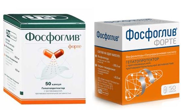 Фосфоглив фото