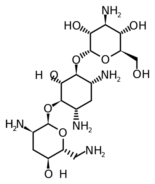 gentamitsin