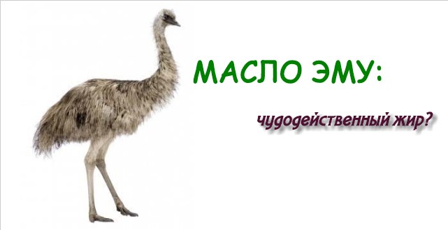 жир эму