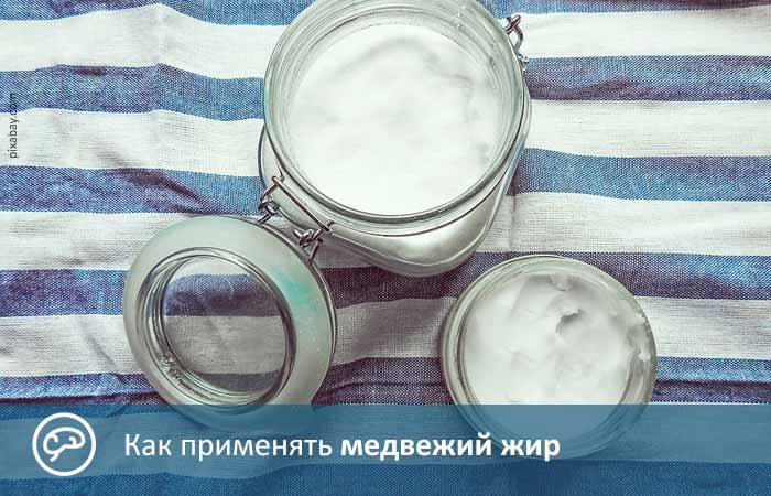 медвежий жир