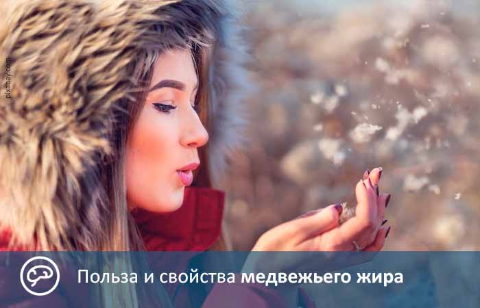 Польза и свойства медвежьего жира