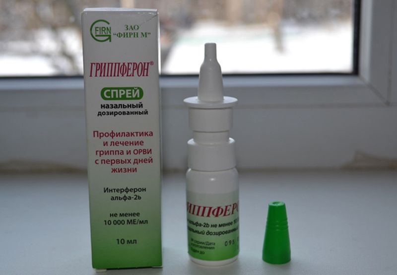 Как протекает коронавирус в легкой форме у человека