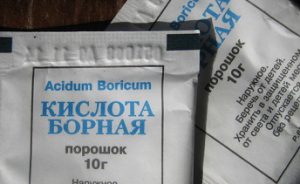 bornaya-kislota-poroshok