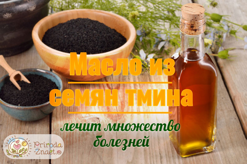 Семена черного тмина, из которых готовится целебное масло
